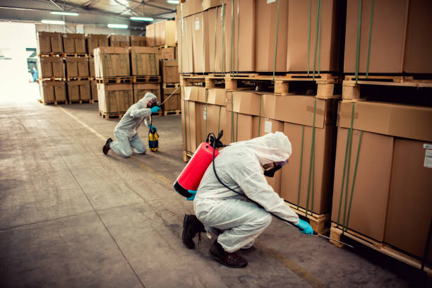 Best Local Pest Control Services  in Commercial Point, OH