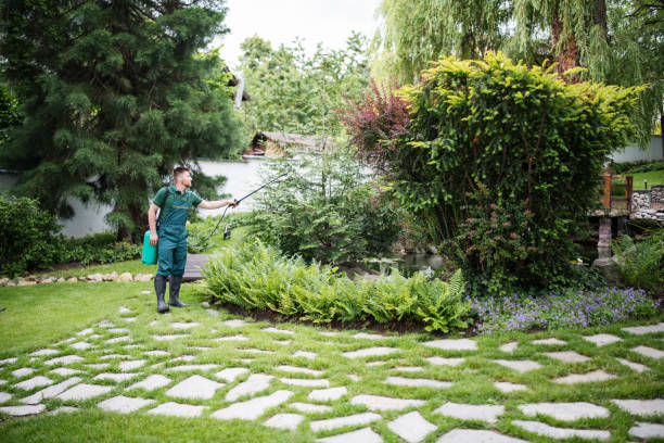 Best Pest Control Near Me  in Commercial Point, OH