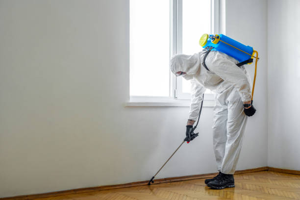 Best Cockroach Control Services  in Commercial Point, OH