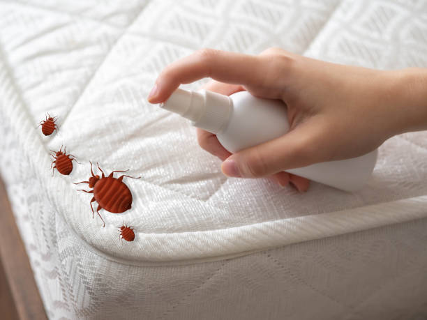 Best Local Pest Control Services  in Commercial Point, OH