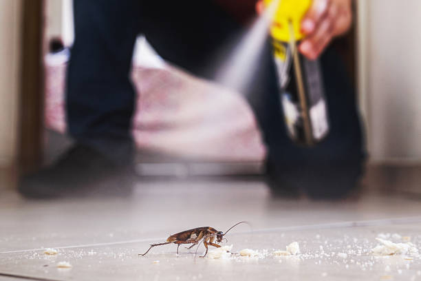 Best Exterminator Services  in Commercial Point, OH