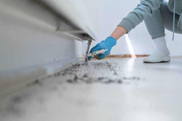 Best Pest Removal Services  in Commercial Point, OH